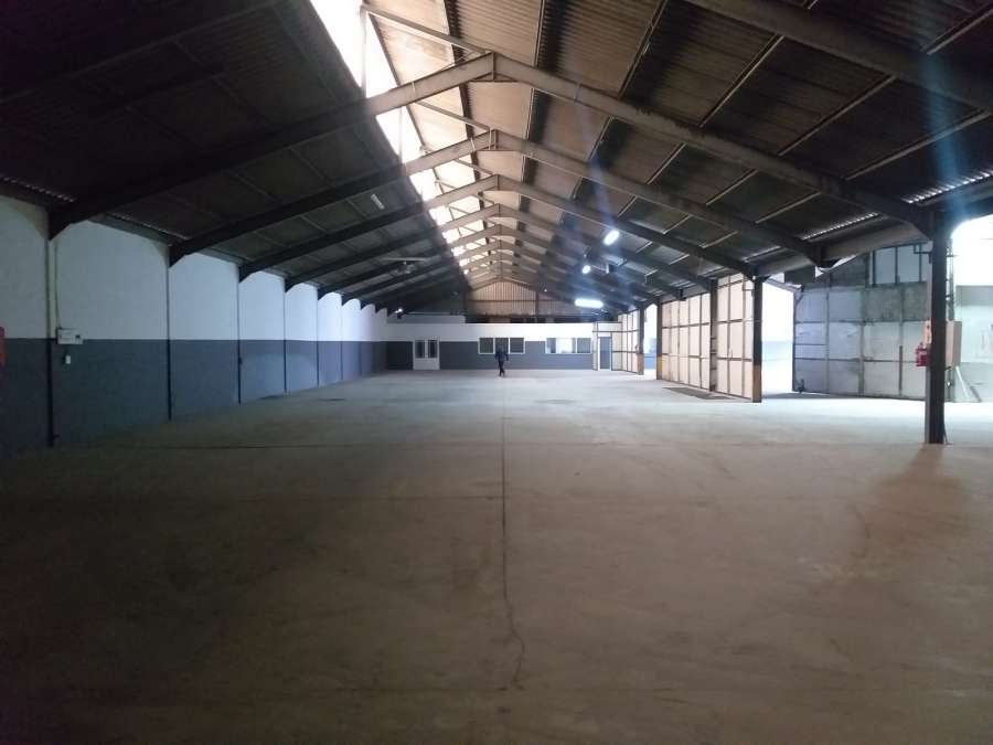 To Let Commercial Property for Rent in Airport Industria Western Cape